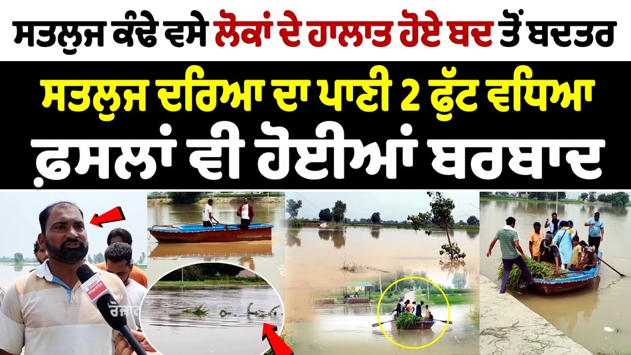 Flood In Jalalabad : ਸਤਲੁਜ ਕੰਢੇ ਵਸੇ ਲੋਕਾਂ ਦੇ ਹਾਲਾਤ ਹੋਏ ਬਦ ਤੋਂ ਬਦਤਰ, ਸਤਲੁਜ ਦਰਿਆ ਦਾ ਪਾਣੀ 2 ਫੁੱਟ ਵਧਿਆ