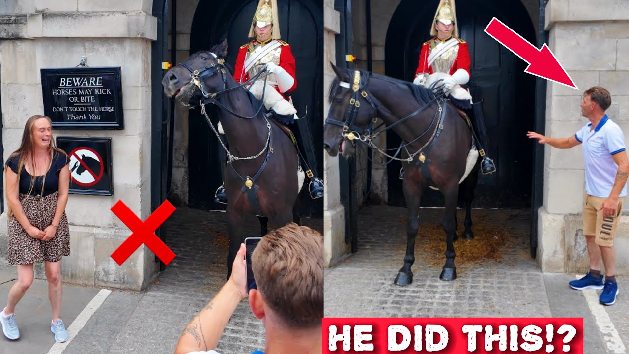 😱He Watched His Wife Get MOVED Out of the Box… But He STILL Tried THIS!