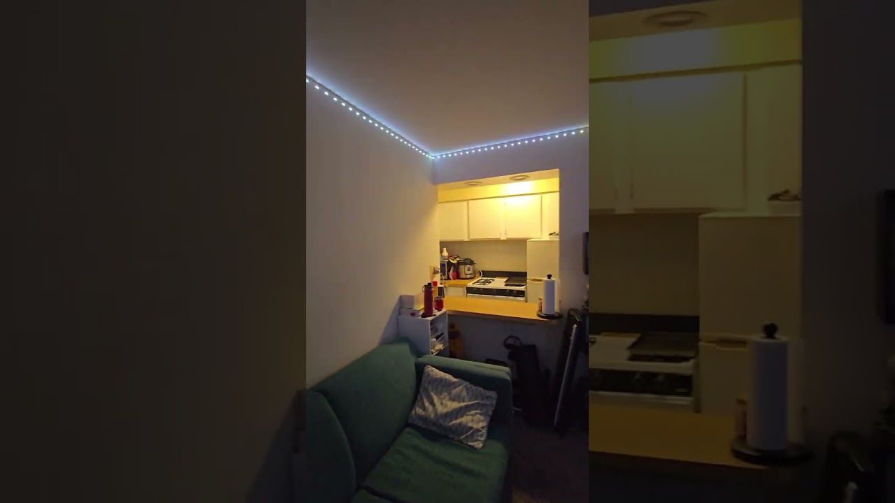 #414 at 525 W Deming Pl $1295/month (studio)