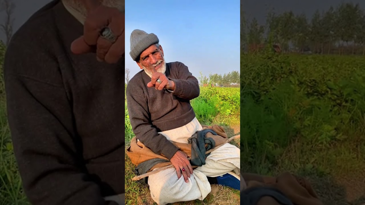🌱👍👍✅️🇵🇰❣️❣️❣️