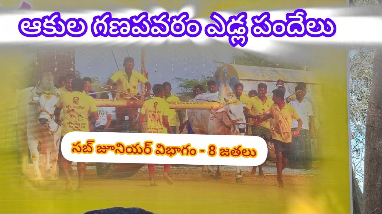 6జత సబ్ జూనియర్||ఆకుల గణపవరం-2026 ||సంపతం వీరబ్రహ్మం నాయుడు గారు ఉయ్యంధన