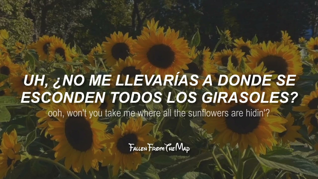 Louis Tomlinson - Sunflowers (Español + English)