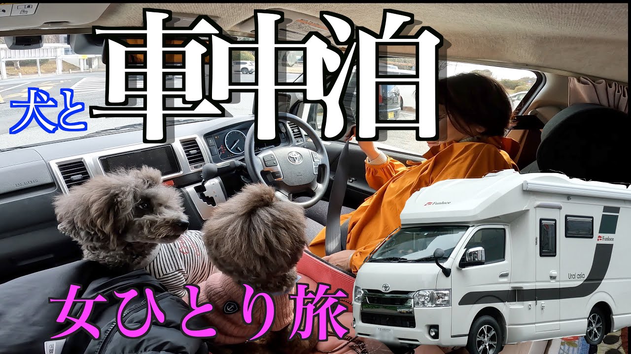 【車中泊】RVパーク「ダイヤモンド滋賀」で犬達と車中泊