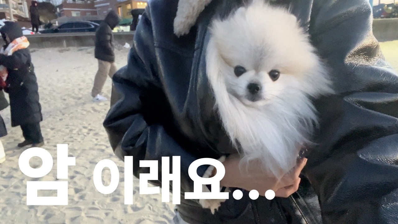 하루 아침에 암환자가 되었어요…./ 위암 진단 / 40대 위암