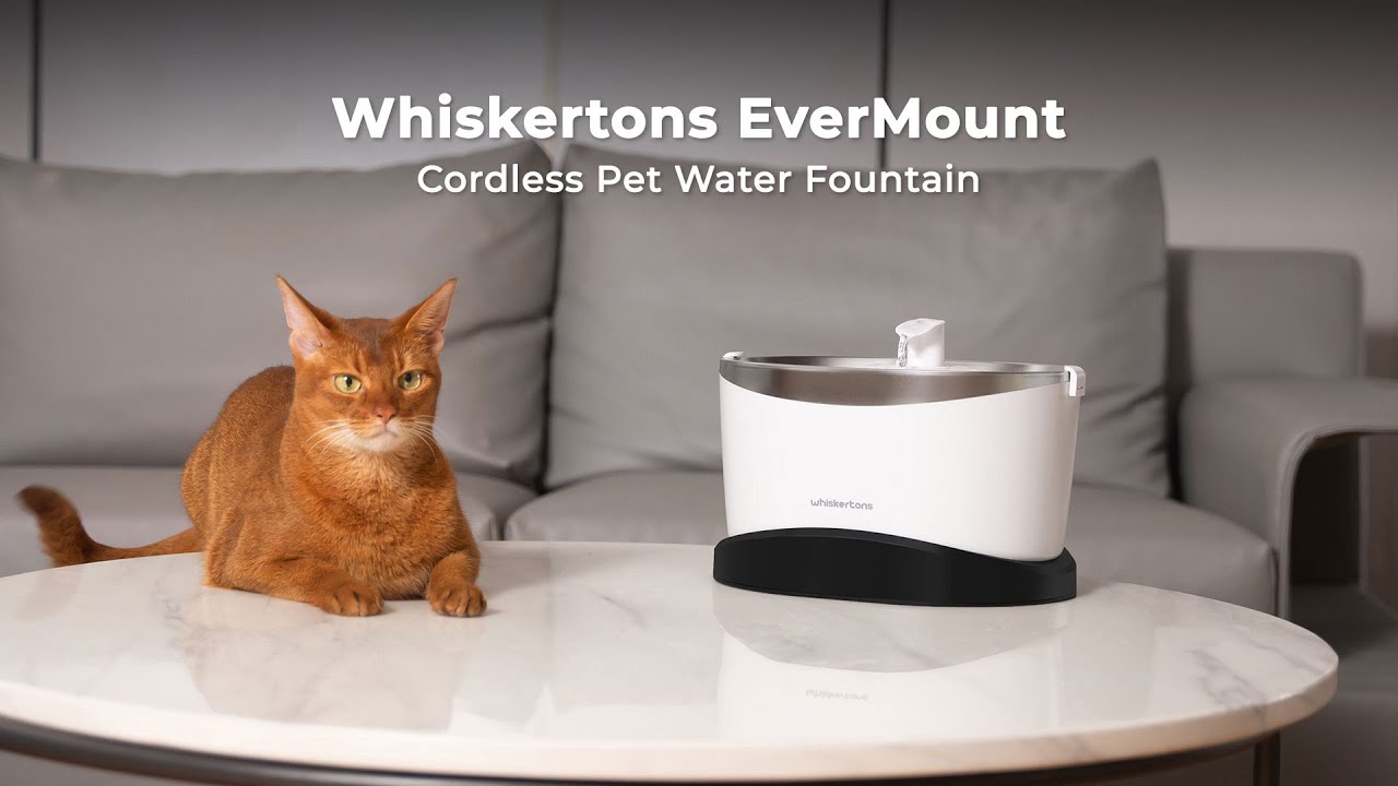 Whiskertons EverMount Battery-Operated Pet Water Fountain