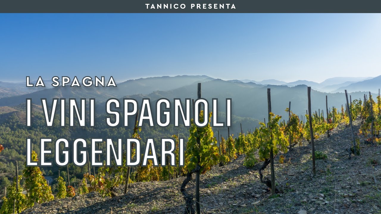L'Unico di Vega Sicilia e gli altri vini spagnoli leggendari | Tannico Flying School