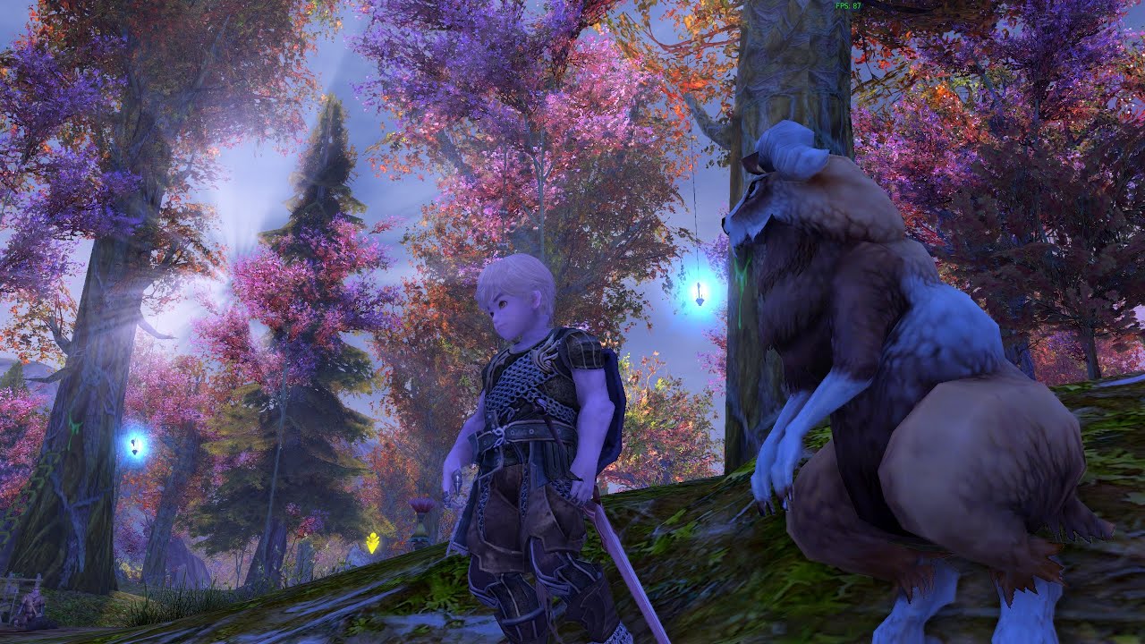 It's 2010, You Play Aion And You Enter The Woods For The First Time