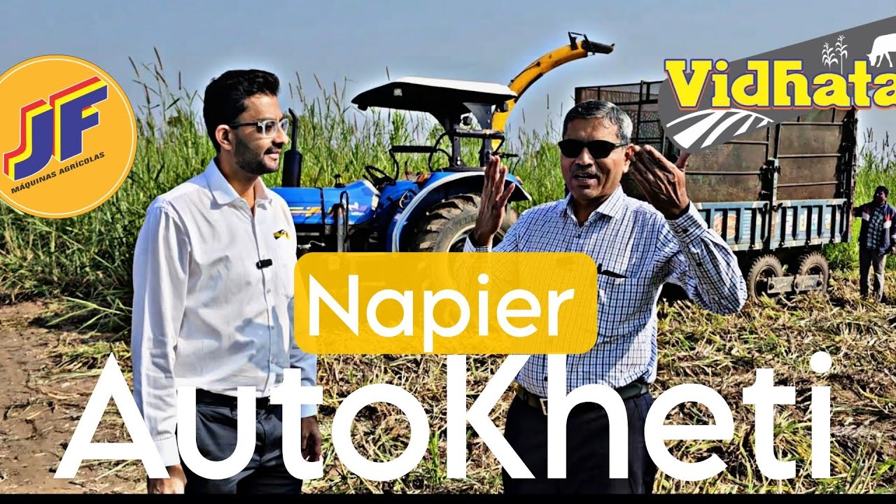 Super Napier Лучший резак, работающий в Гуджарате с JF1000