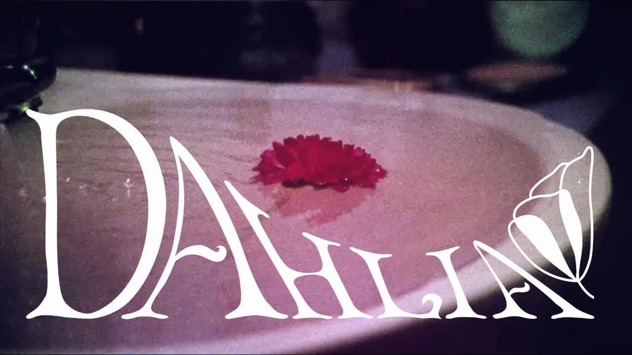 Odd Beholder - Dahlia (Official Video / Short Movie)