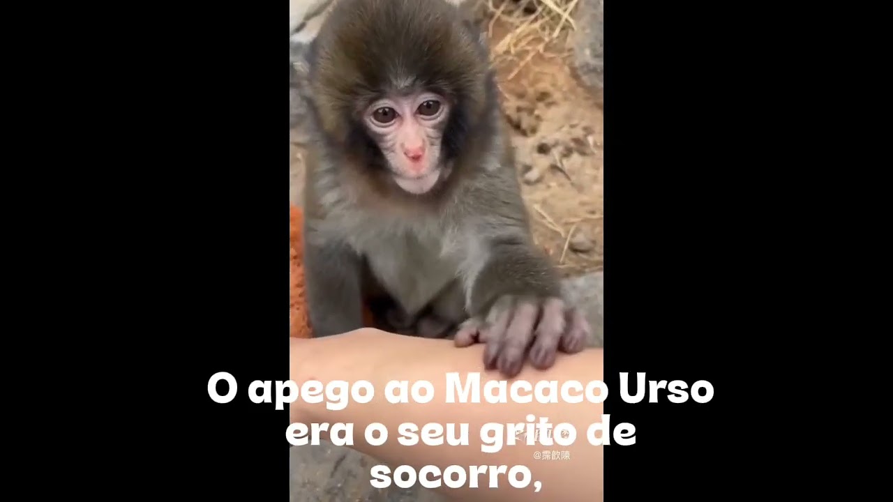 A dor da rejeição não define seu futuro.