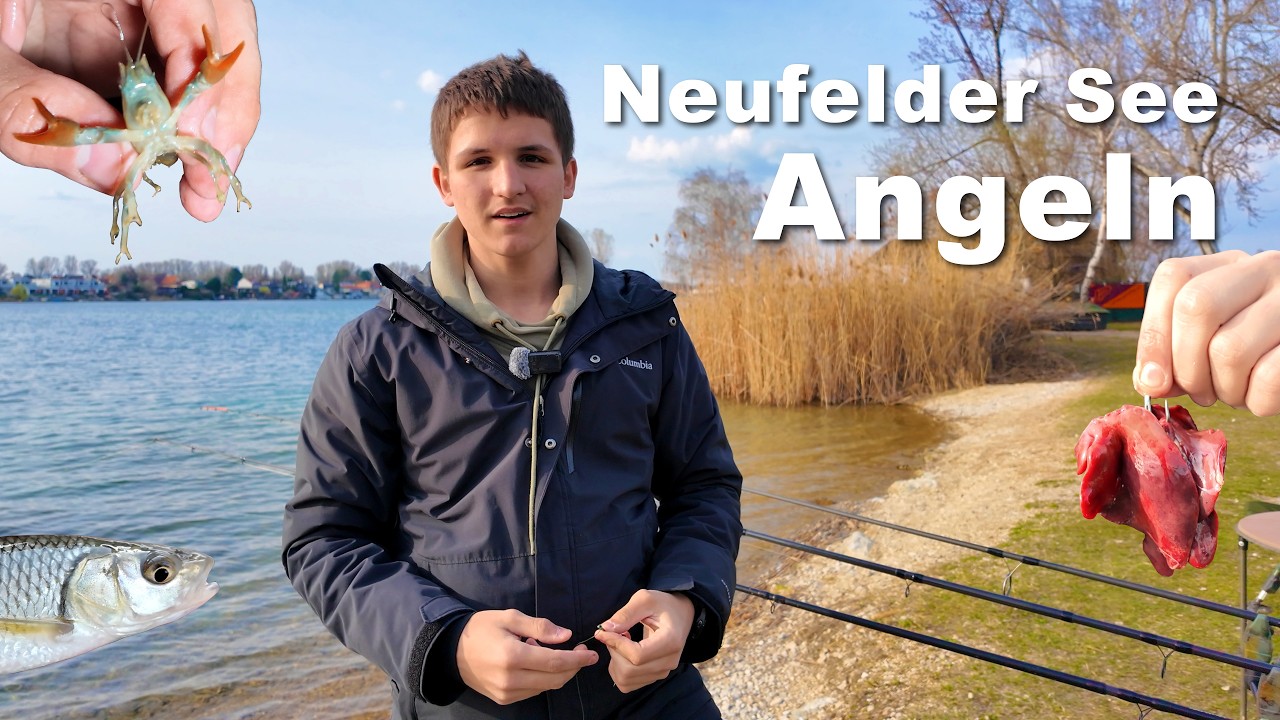 Angeln am Neufelder See - Fischen auf Karpfen, Wels und andere Fische im Fr&uuml;hjahr 🎣👍