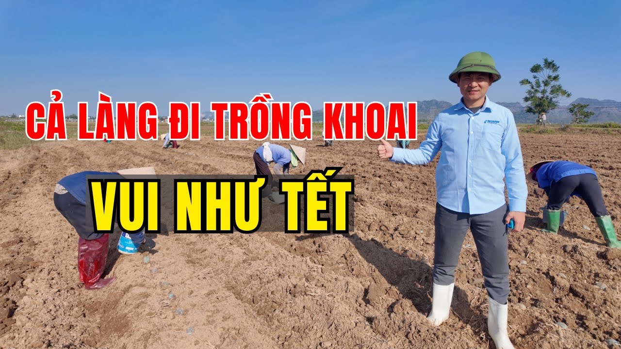 Bài Toán Khởi Nghiệp Nông Nghiệp Trên Quy Mô Lớn  - 120 Ngày Làm Giàu Từ Nông Nghiệp.