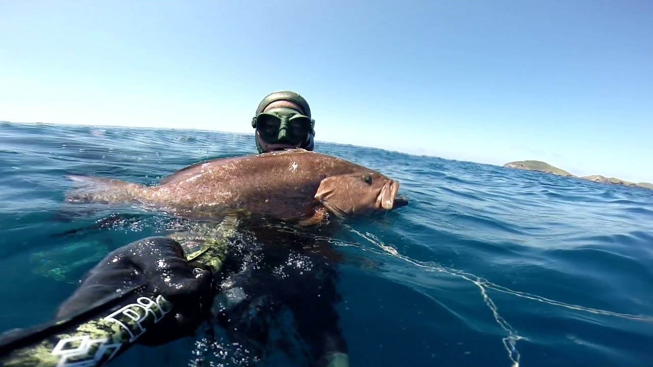 Pesca Sub - Badejo-saltão  6,160 Kg - dezembro/2021