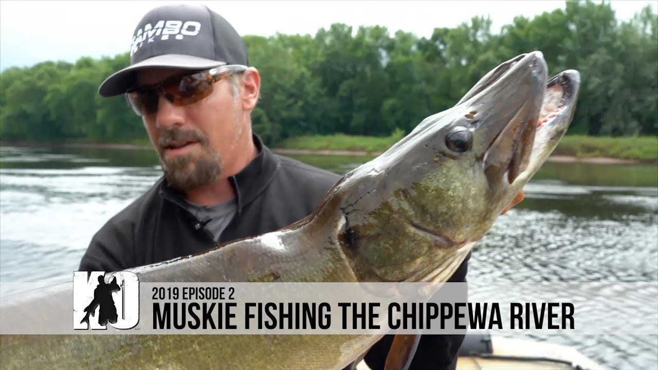 Fishing the Chippewa River for MOMMA MUSKIE - Episode 2