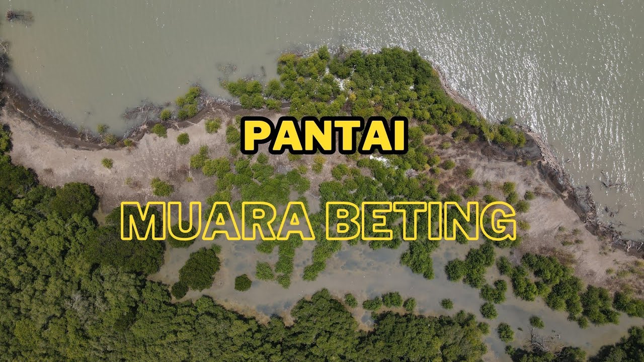 Pantai Muara Beting  Kritis #muarabeting #muaragembong @SUSURGUA