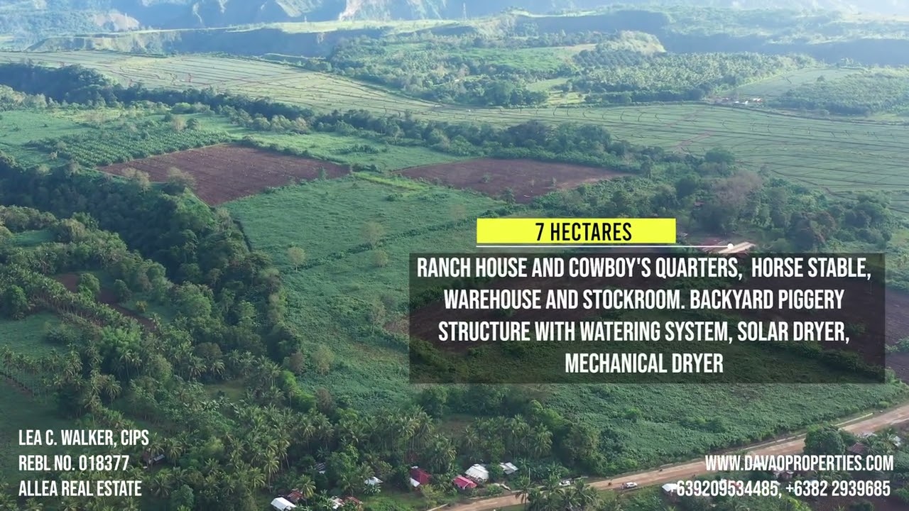 ALLEA REAL ESTATE Bukidnon Land For Sale