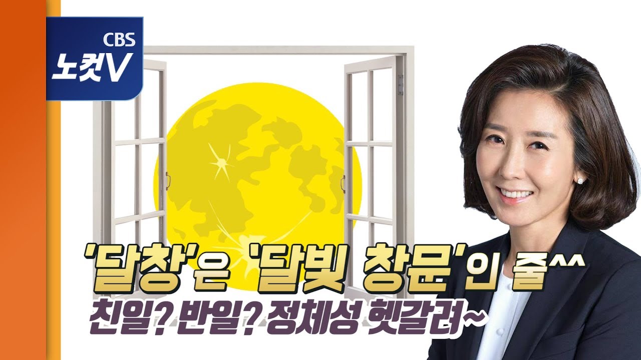 나경원 &ldquo;친일?반일?정체성 헷갈려...달창은 달빛 창문인 줄