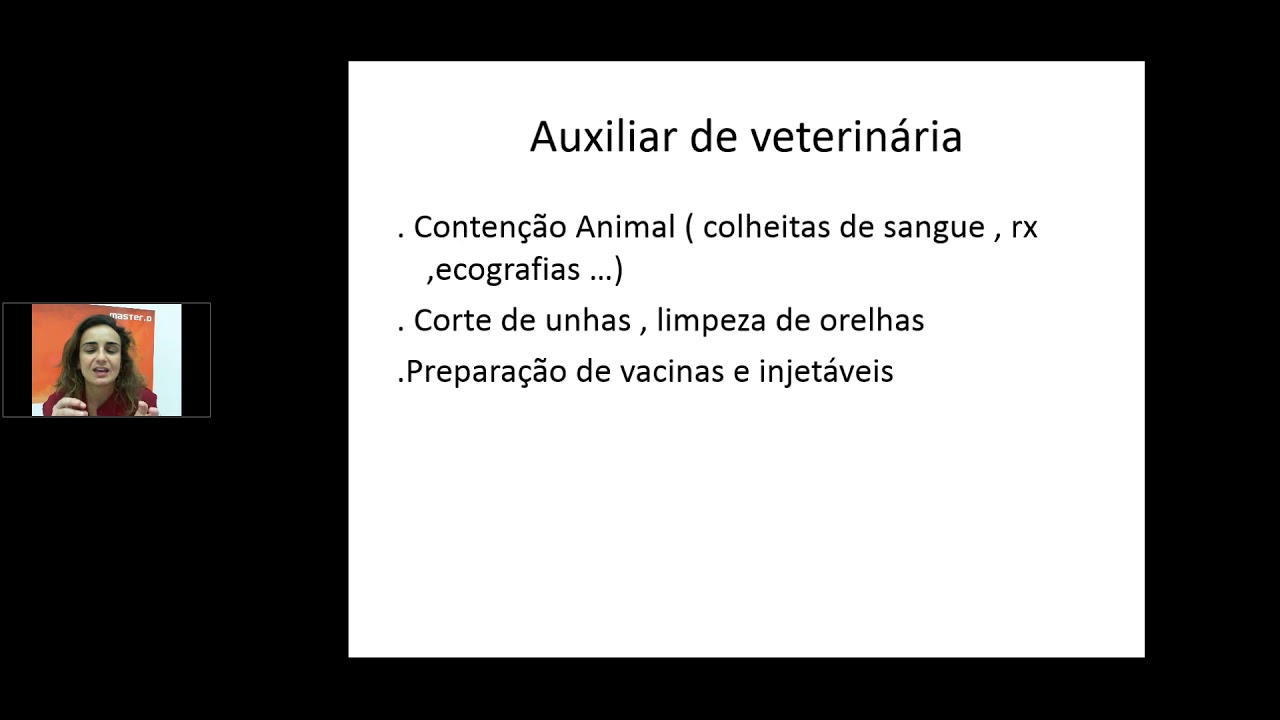 O papel do auxiliar na consulta veterinária