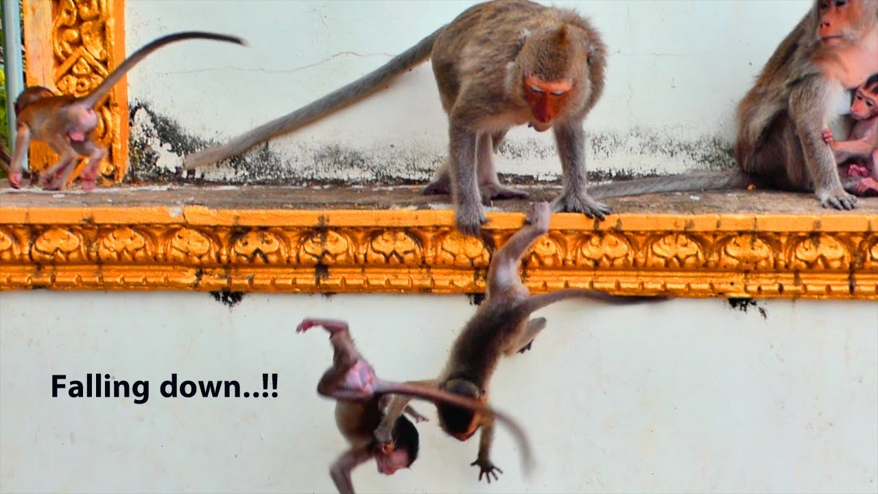 Very Sad !Poor baby MATOS falling down from the temple -as Mom runs lack careful hit her child pity