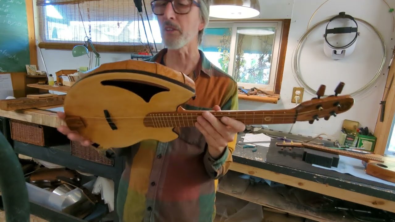 Tenor shell back ukulele (lacewood) spruce top.