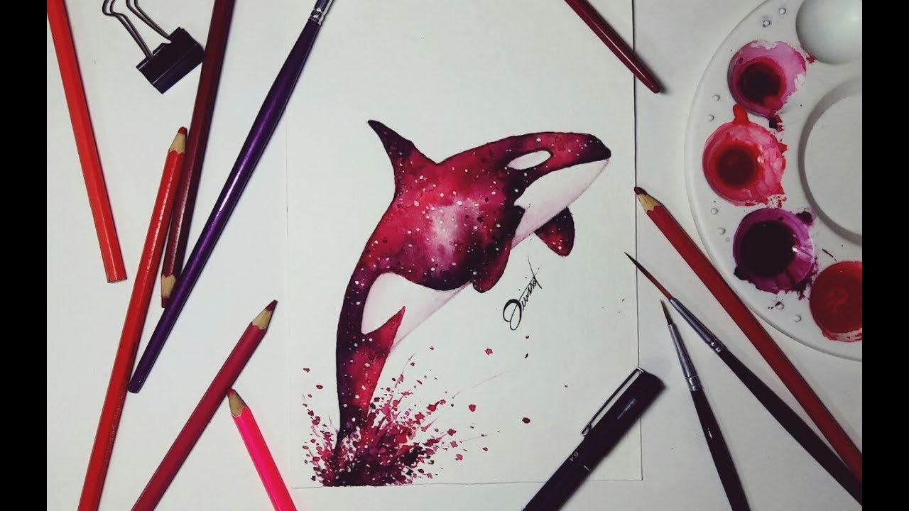 Speed Drawing - KILLER WHALE 【Aquarela /Watercolor Speedpaint】