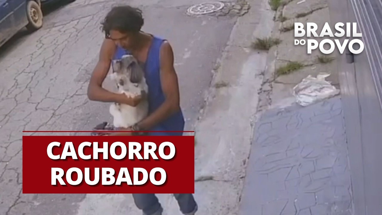 Homem invade casa e furta cachorro em São Paulo