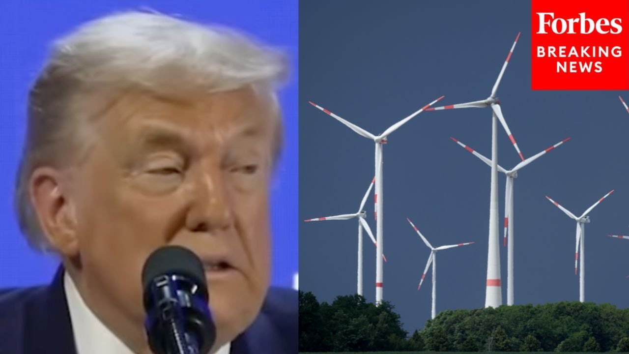 Trump At Davos: 'The More Windmills A Country Has, The More Money That Country Loses'