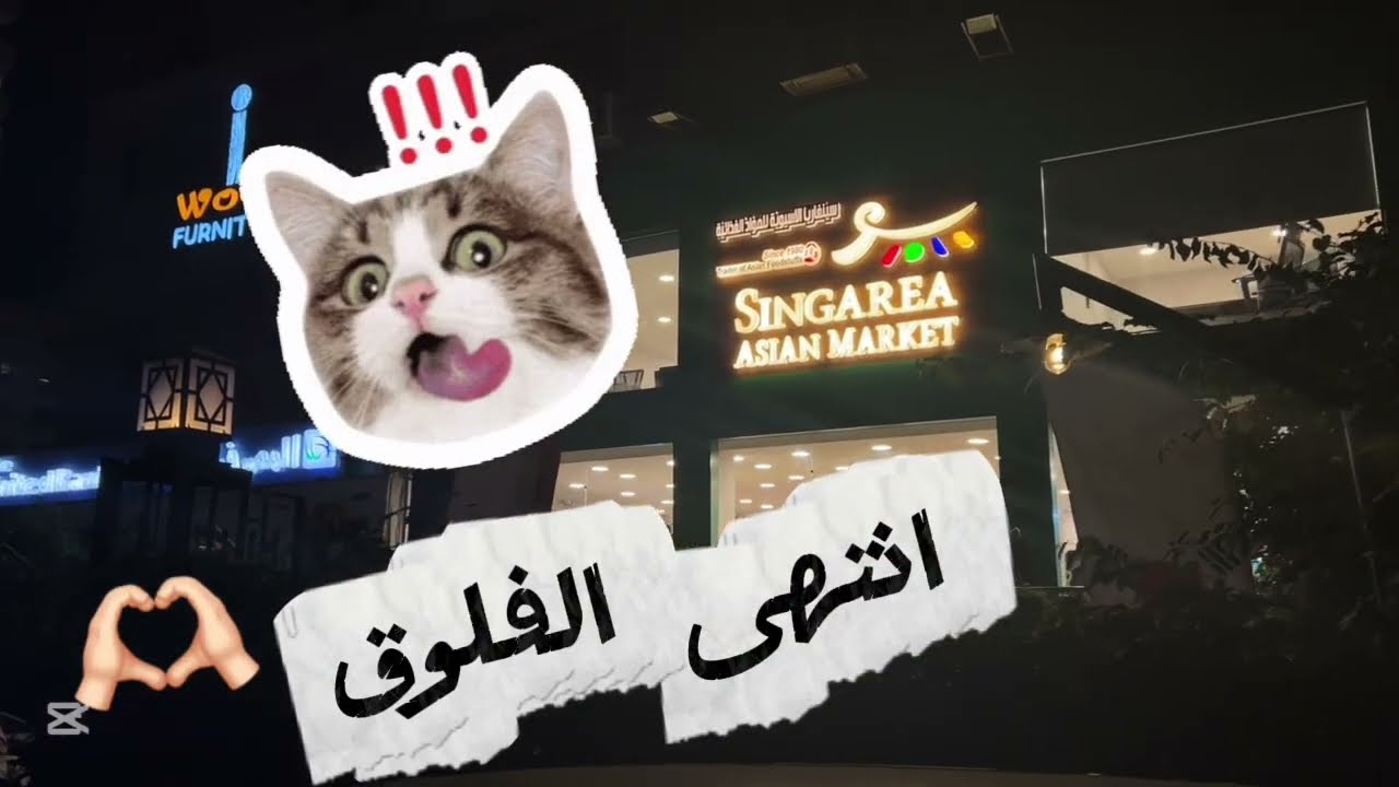 فلوق متجر كوري 