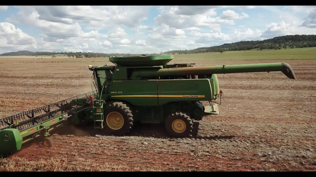 Chickpea Harvest Australia 2017