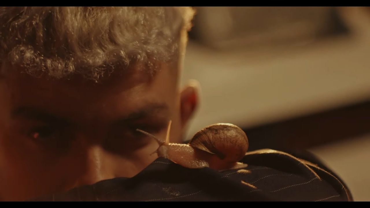 Marc Segu&iacute; - NO TENGO PRISA (Visualizer)
