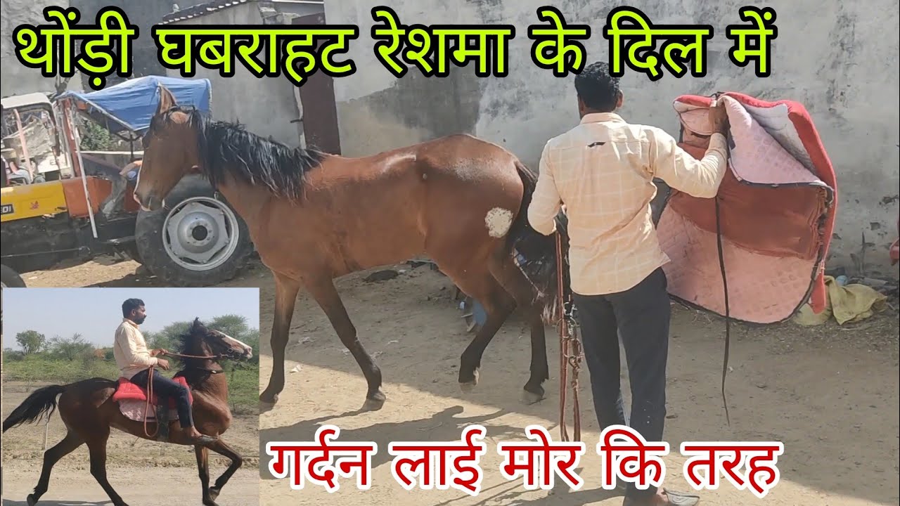 रेशमा कि ट्रेनीग अभी हुईं पुरी देखिए दोस्तों 