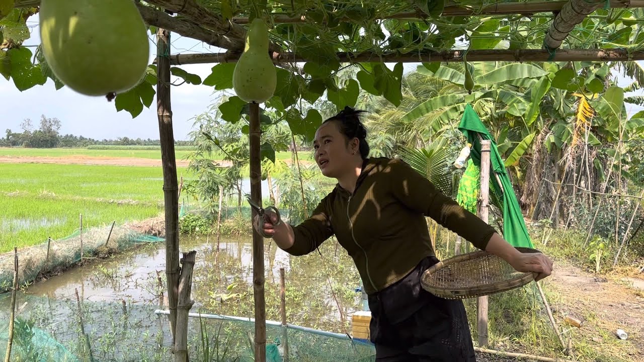 Bất Ngờ Giữa Lúc Nấu Ăn Thúy Liễu Quá Mừng | Khánh Liễu Miền Tây 