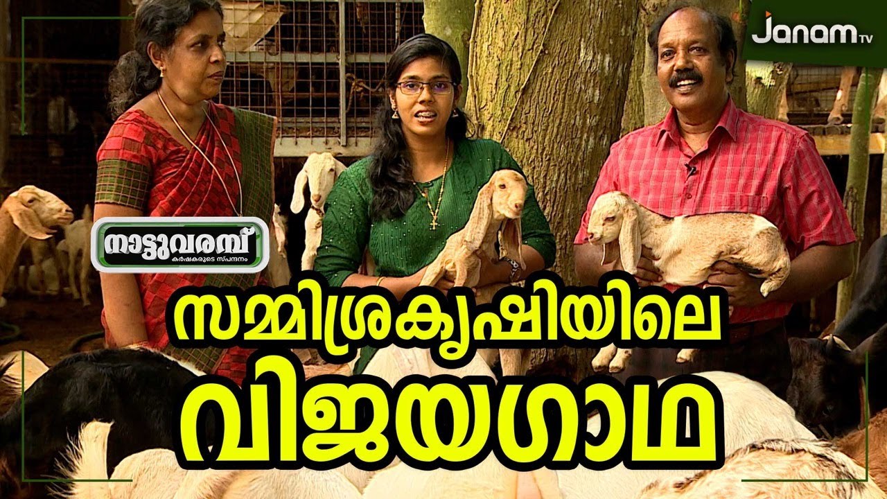 സമ്മിശ്രകൃഷിയിലെ വിജയഗാഥ | HI-TECH FARMER | CICIL CHANDRAN | NATTUVARAMBU | EP#206 | JANAM TV
