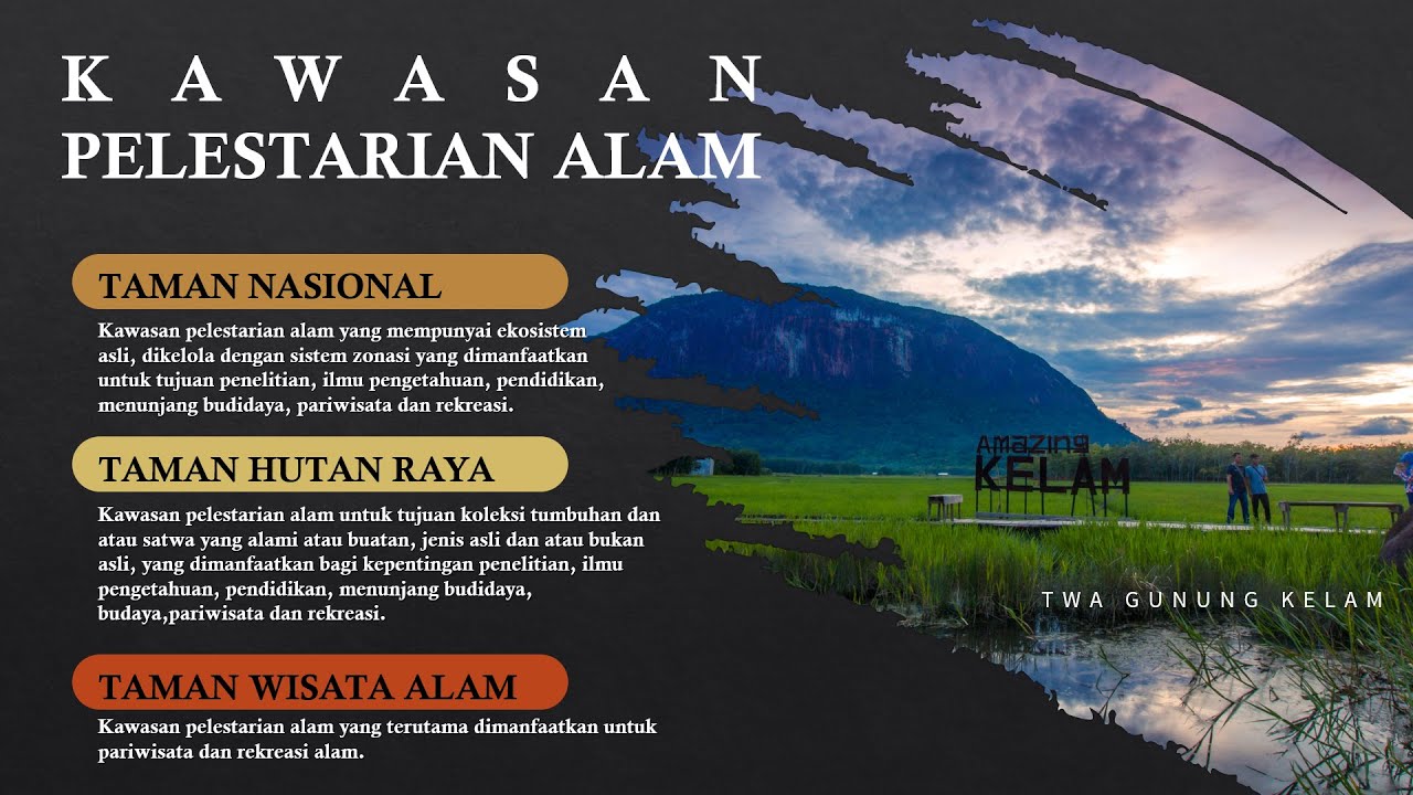 Pengelolaan Kawasan Konservasi