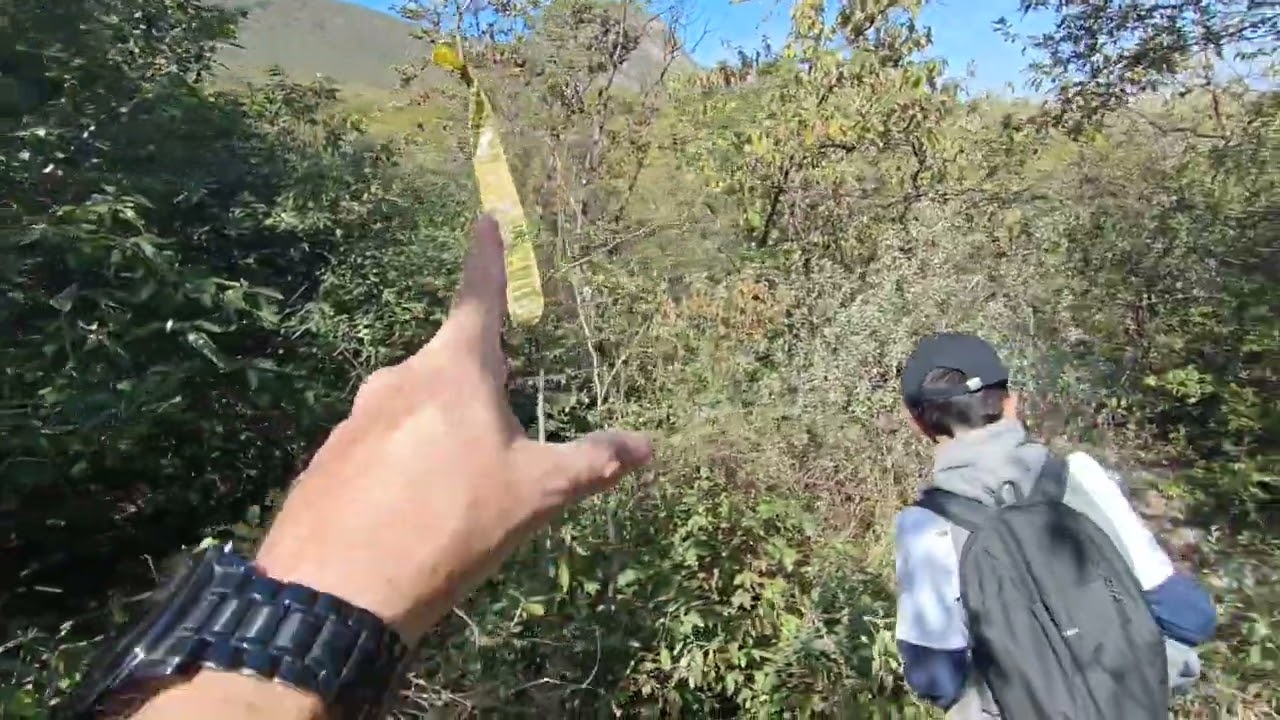 Explorando la Ruta de Paz. #senderismo #camping #youtubeshorts 
