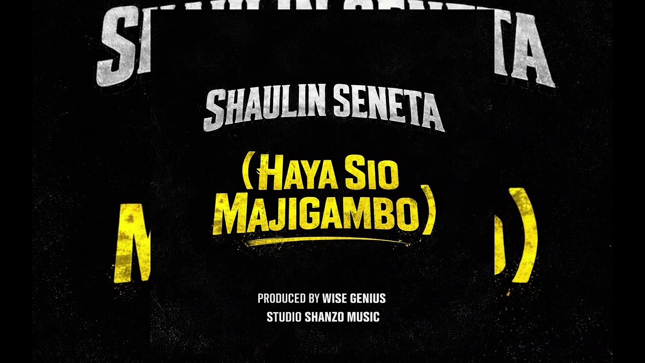 Shaulin Seneta Mwanazuoni (Haya Sio Majigambo) Official Audio