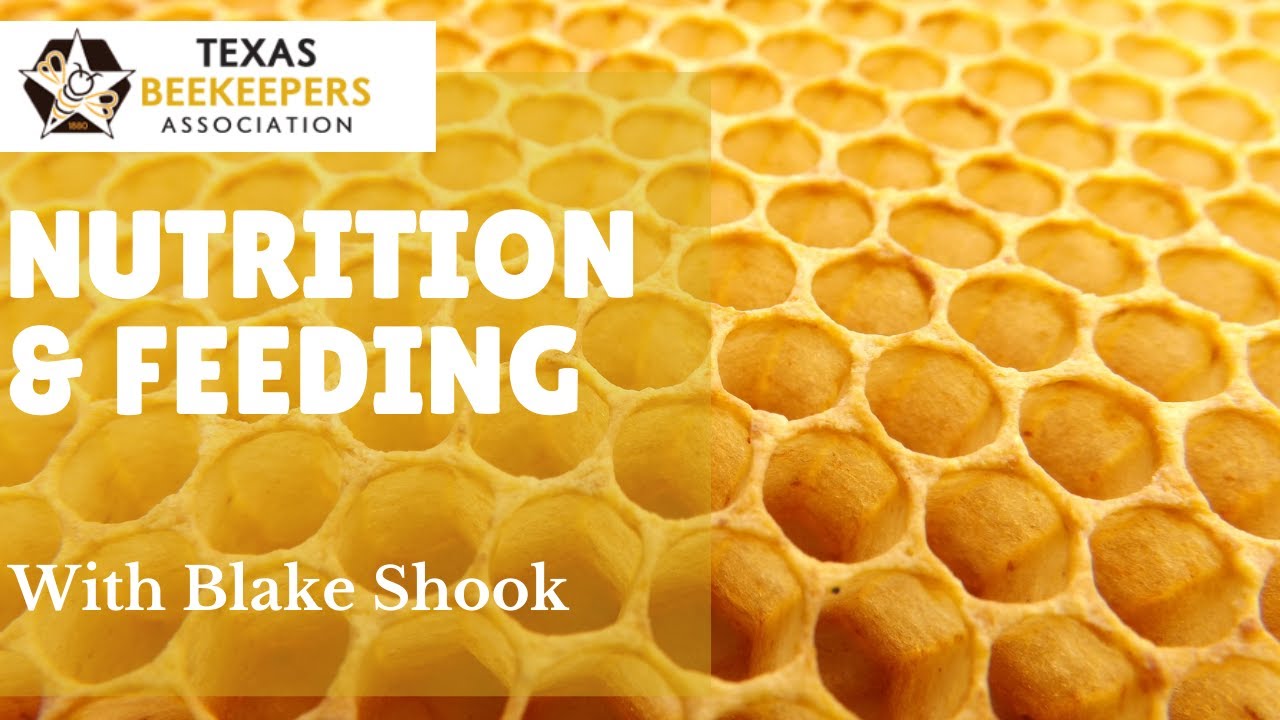 Nutrition and Feeding with Blake Shook