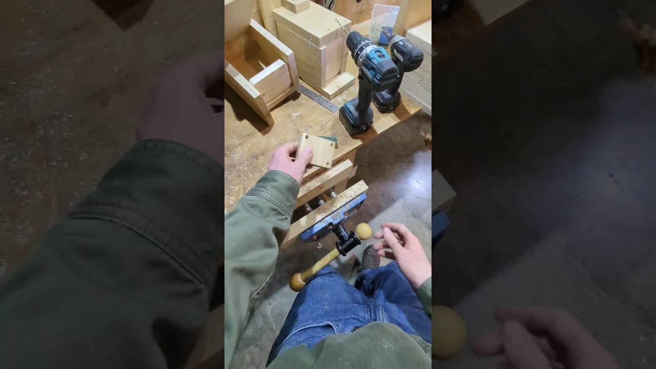 Building a tree swallow nest box, full process after sawing pieces to length, with live discussion