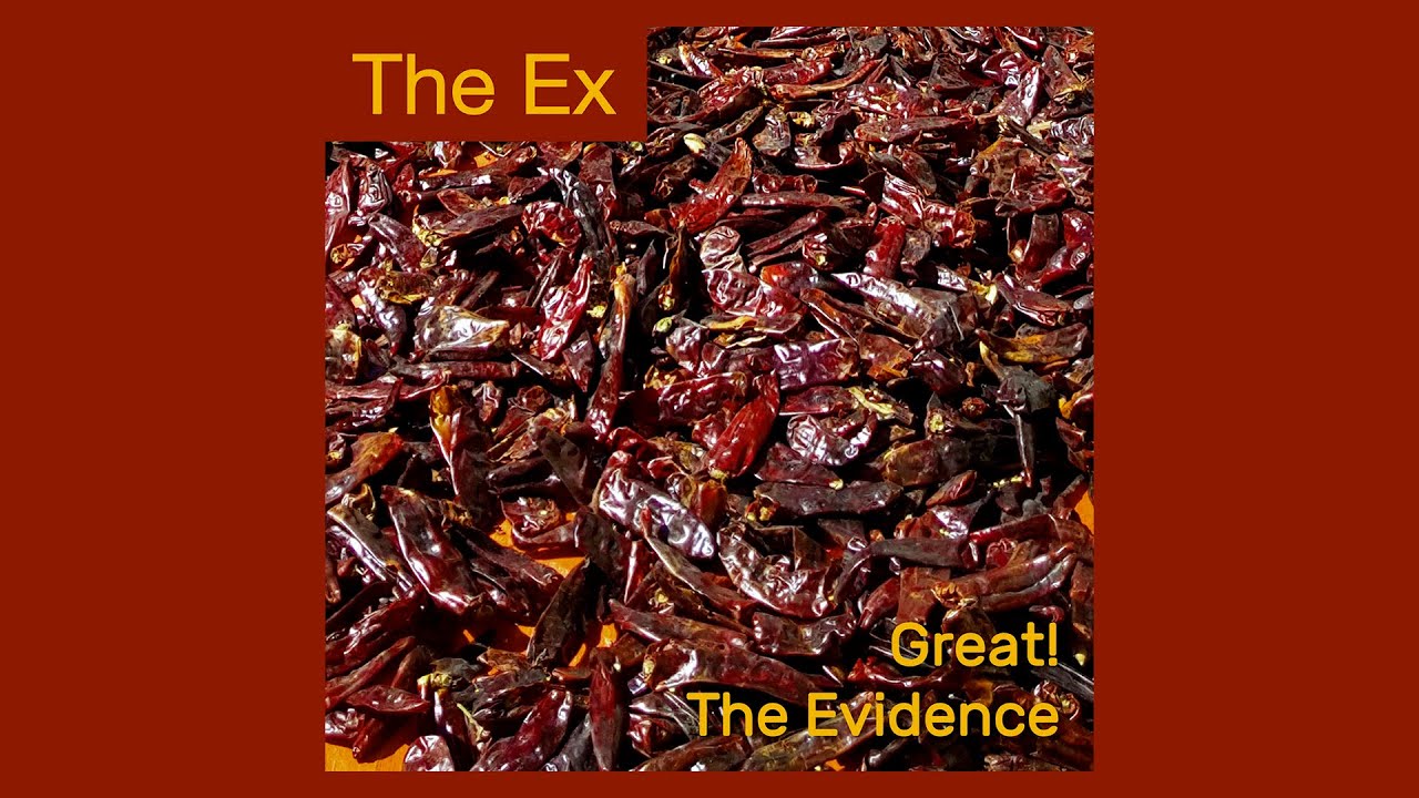 The Ex - Great! / The Evidence (Single 2024)