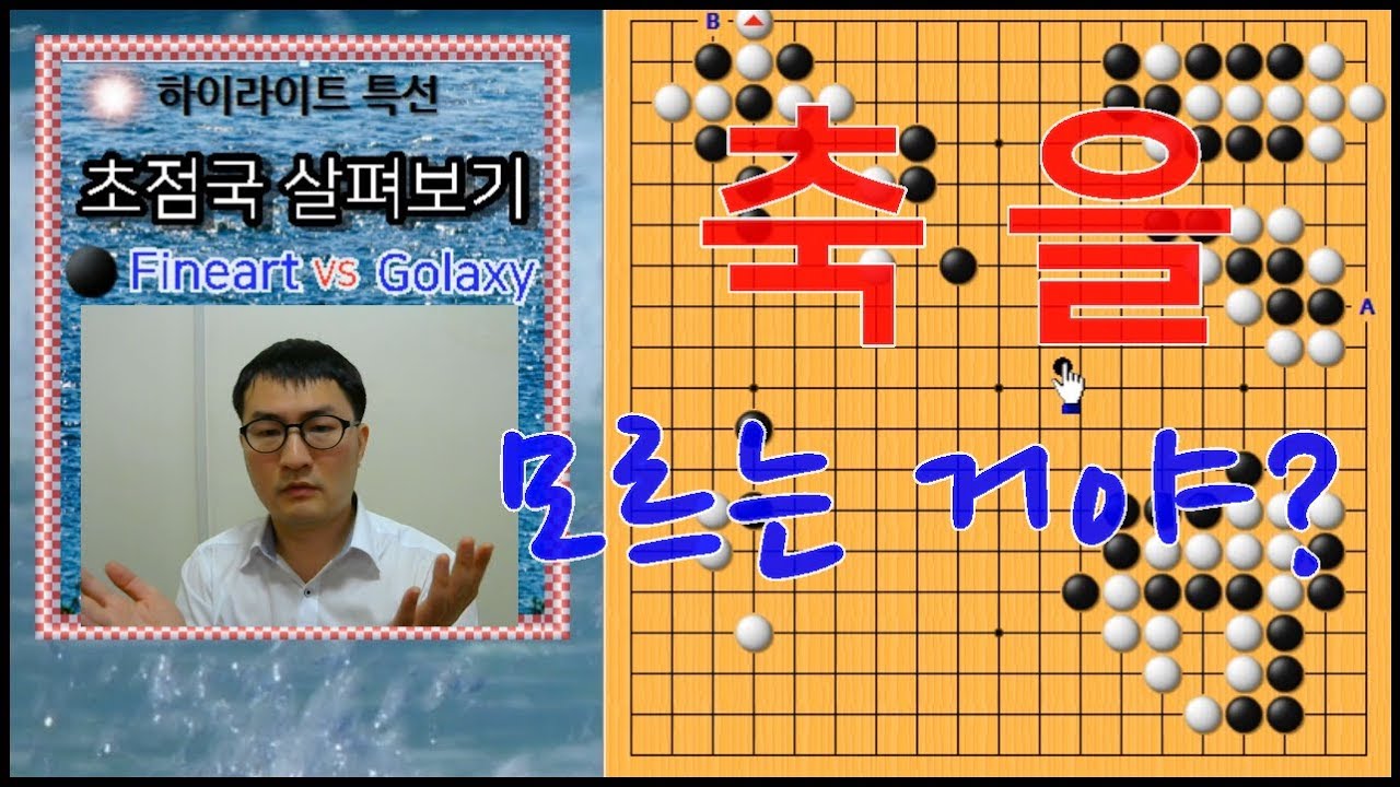 축버그일까? 팻감 공작일까? [2018세계 컴퓨터 바둑대회 결승전2국] Fineart vs Golaxy