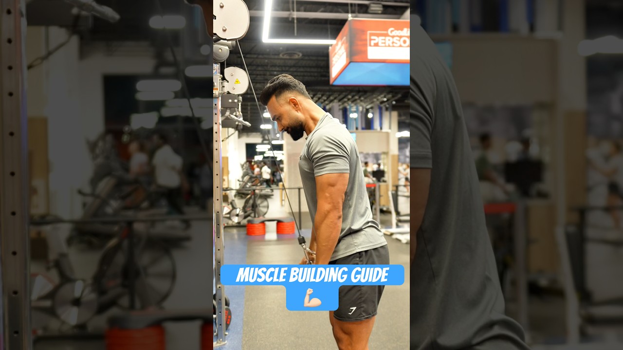 Hard Gainers? Muscles Building Guide 💪🏻#punjab #punjabi #natural #fitness