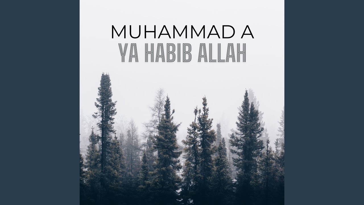 Ya Habib Allah