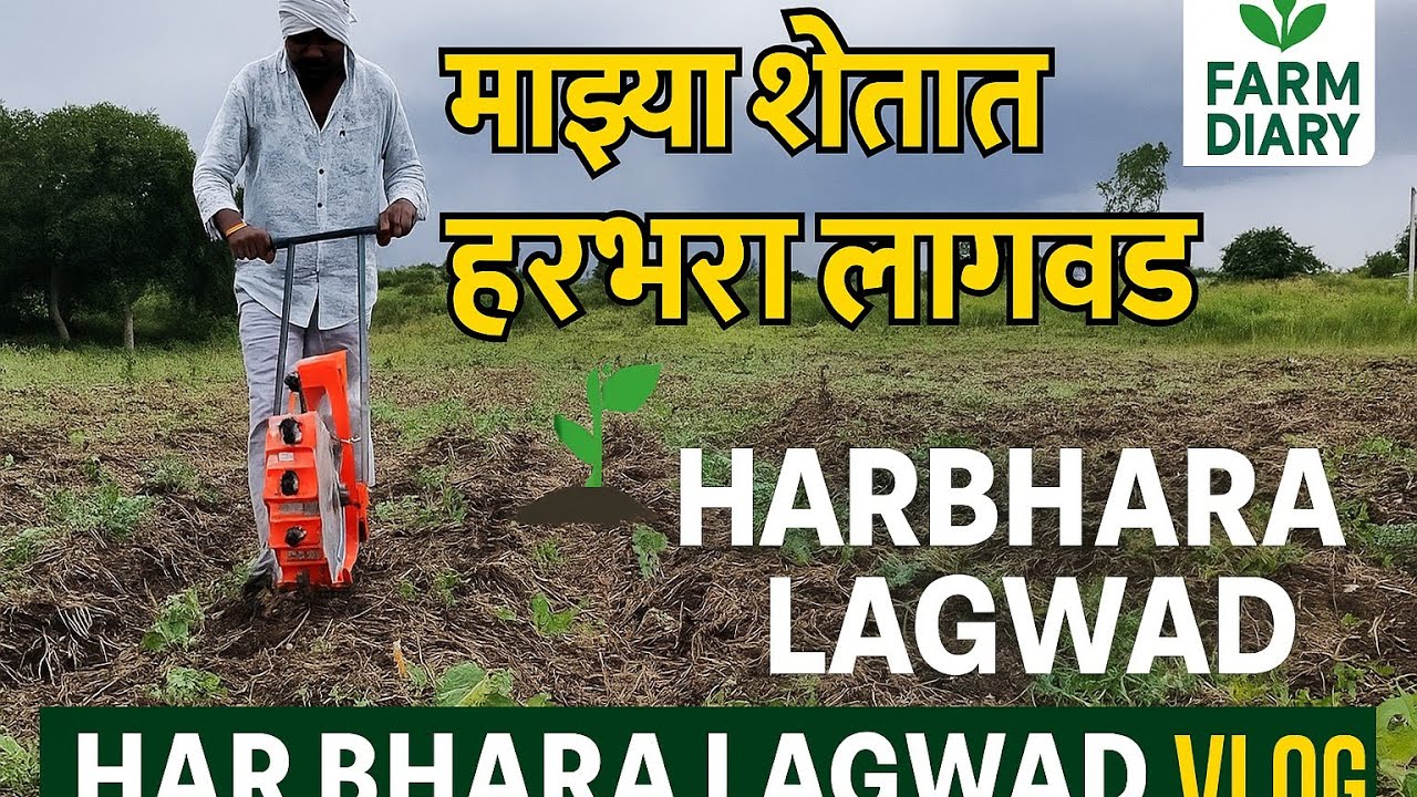 माझ्या शेतामध्ये हरभरा लागवड | Harbhara Lagwad Mahiti | हरभरा शेती