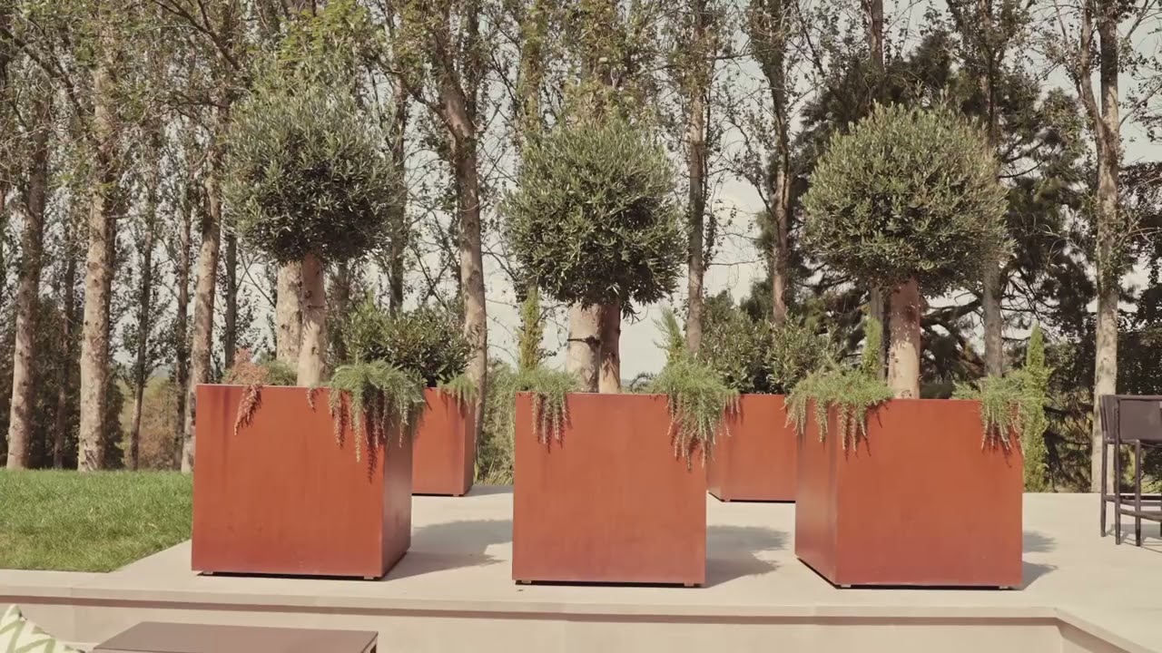 A fusion of Mediterranean & Tropical planting with mixed topiary beds