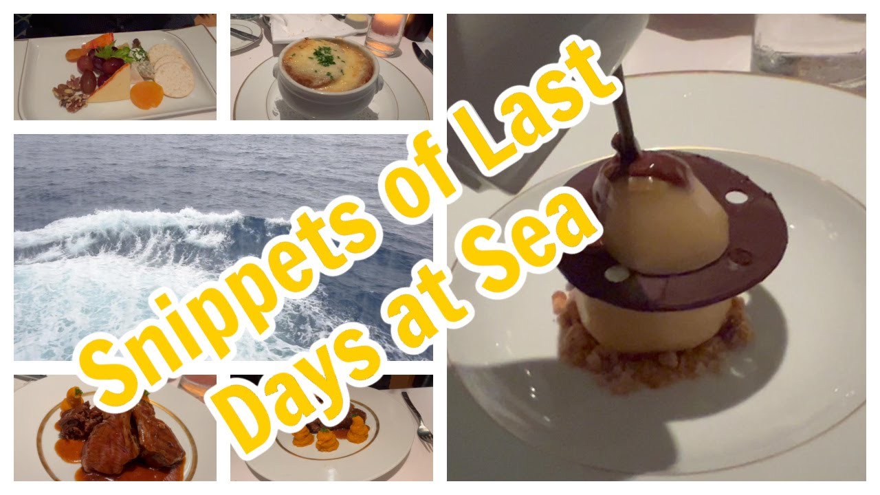 Norwegian Jewel Vlogs Jan 2025: Snippets of Final Days at Sea