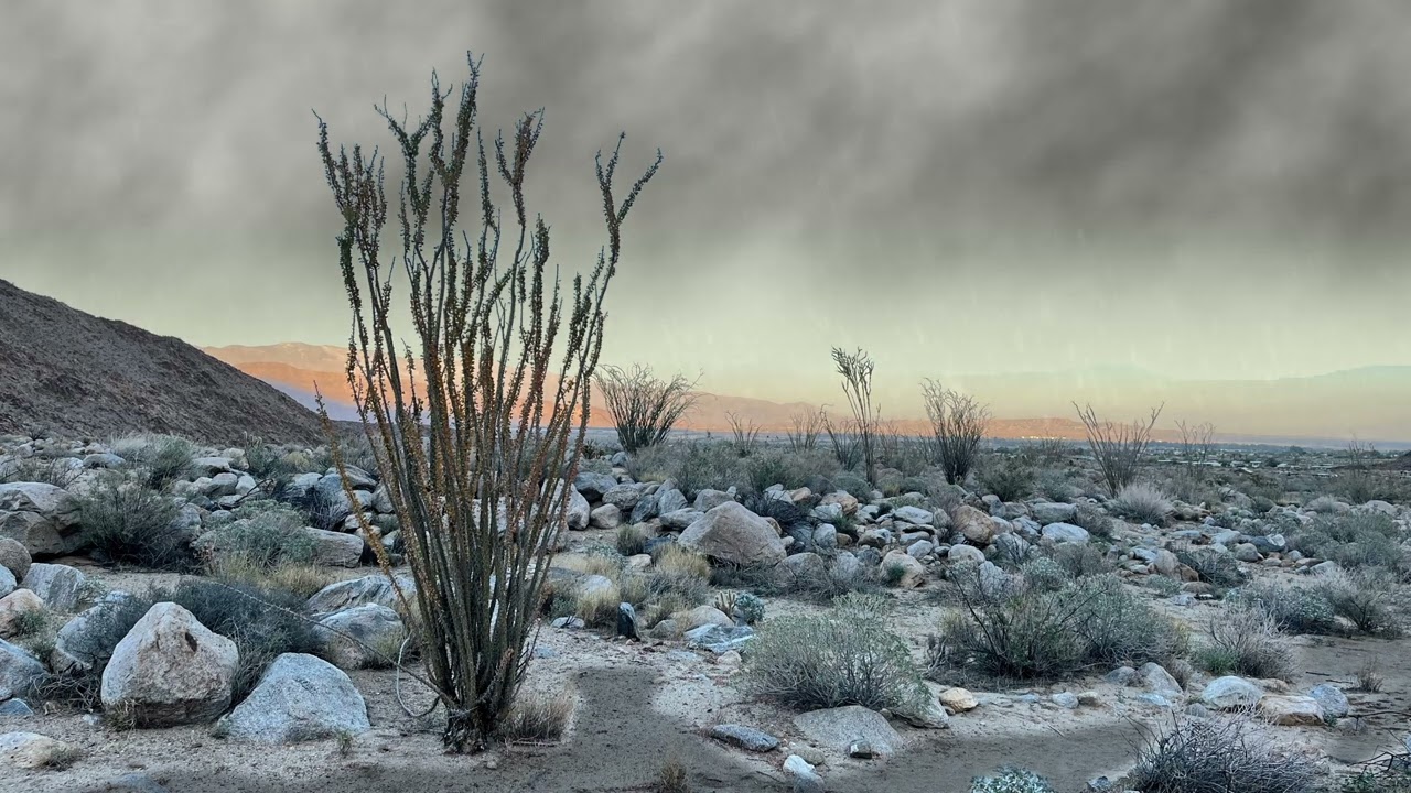 Rainy Desert Day ☔️🌵 - Desert Rain Sounds for Sleeping & Relaxing - Desert Ambiance & Nature Sounds