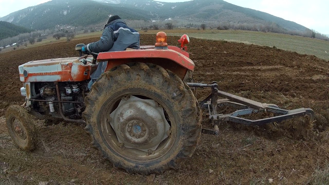 İki tane Massey Ferguson 148 hangisi Daha İyi Sürüyor