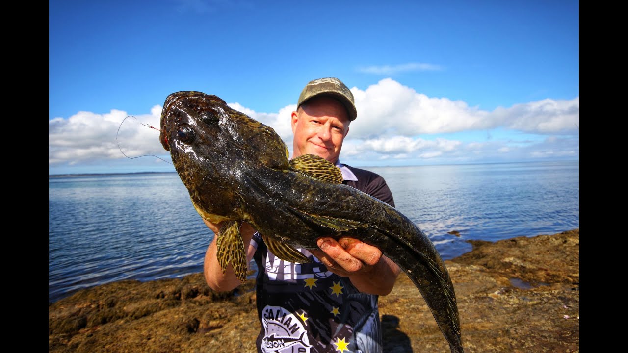 Land Based Fishing Western Port