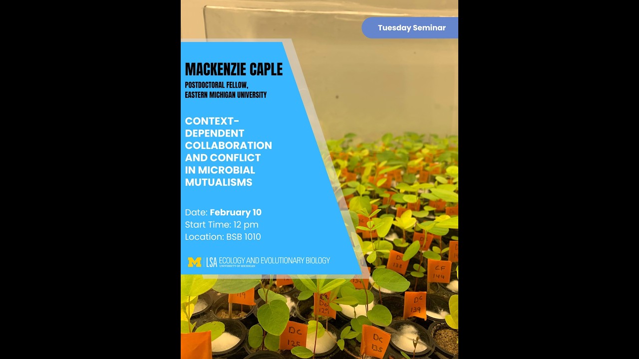 EEB Tuesday Seminar Series: Mackenzie Caple, Postdoctoral Fellow, Eastern Michigan University