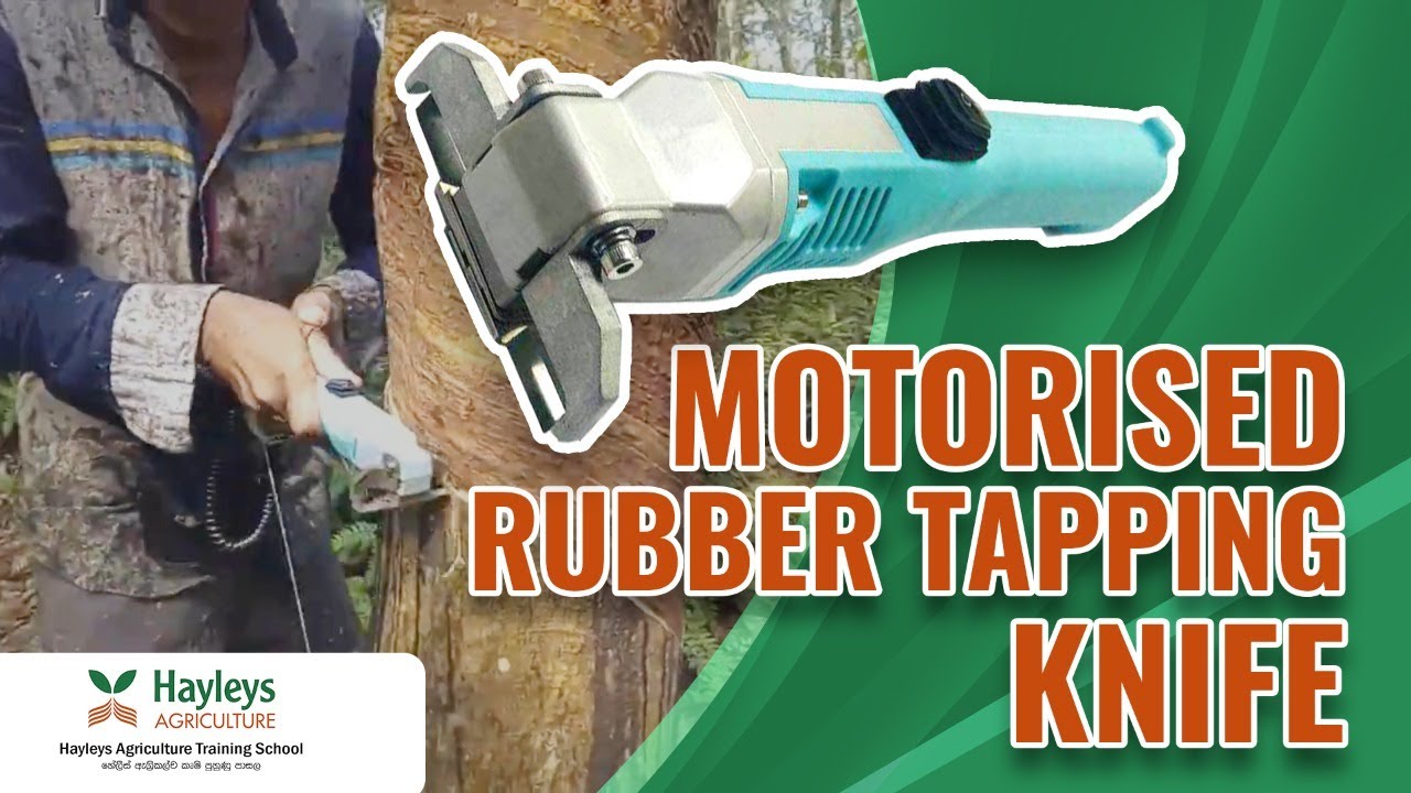 Motorized Rubber Tapping Knife - Revolutionize Tapping Through Automation - Hayleys Agriculture